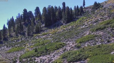 Mammoth Lakes › East: June Meadows Chalet - June Mountain