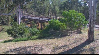 Live webcam in Miles, Austràlia
