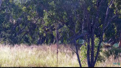 Live webcam in unknown, Ástralía