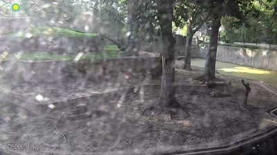 Live webcam in واشنگتن, ایالات متحده آمریکا
