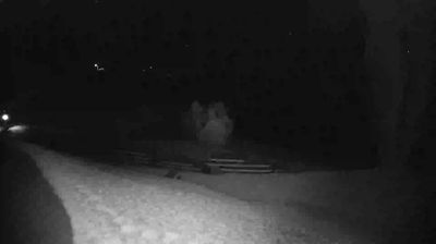 Live webcam in Area F, Canadà