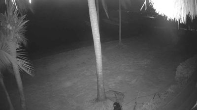 Puerto Aventuras › South: Bahia Akumal - Caribe Mexicano live webcam