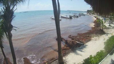 Live webcam — Akumal