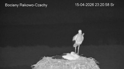 Live webcam in Rakowo-Czachy, ประเทศโปแลนด์