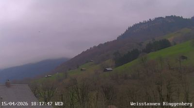 Mels: Weisstannen