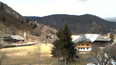 St. Blasien › North-west: Menzenschwand - Menzenschwander Straße