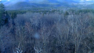 Live webcam in Bartlett, ایالات متحده آمریکا