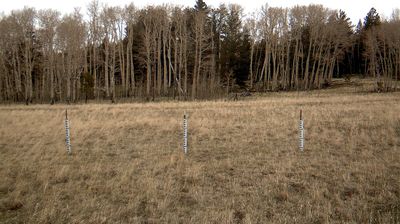 Live webcam in Flagstaff, ایالات متحده آمریکا