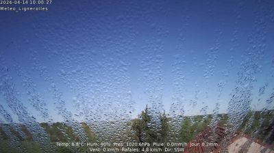 Lignerolles › Sud-ouest