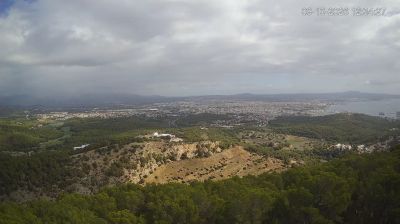 Calvia › East: Puerto de Palma