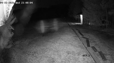 Озерский сельский Совет › East: Sviyaga Ski Resort