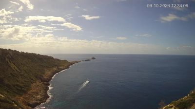 Calvia › South-west: Punta de El Toro