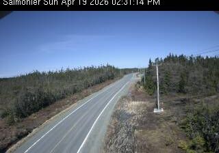 Live webcam in Holyrood, Canadà