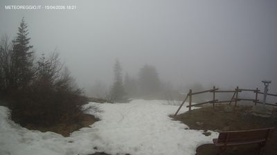 Ventasso › North-east: Collagna - Alpe di Succiso - monte Ventasso