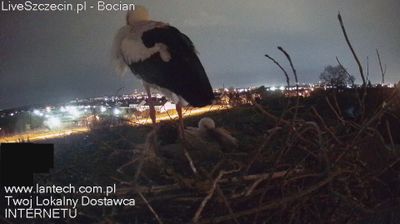 Live webcam in Mierzyn, Lenkija