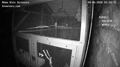 Live webcam in Brzezinka, Lengyelország