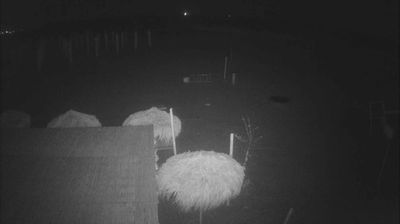 Live webcam in Costanza, Romania