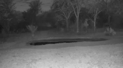 Live webcam in Mookgopong Local Municipality, Republika Południowej Afryki