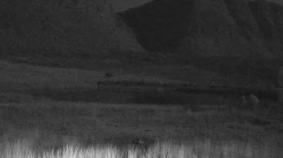 Mookgopong Local Municipality › Nord-oest: Honeyguide Conservation Lodge - Mmadikiri