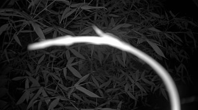 Live webcam in Mito, Japão