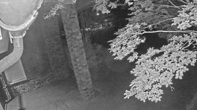 Live webcam in Charlottesville, United States