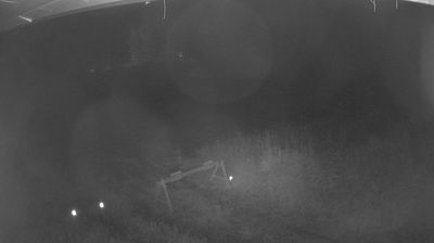Live webcam in Area A, Canada