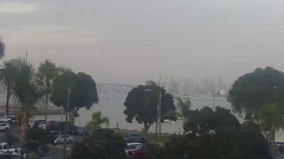 Live webcam in San Diego, United States