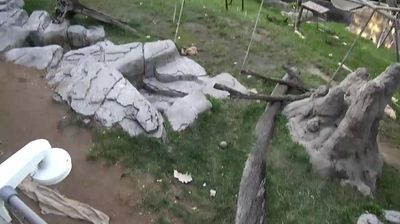 San Diego Bay webcam: San Diego: San Diego Zoo