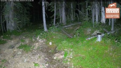 Live webcam in Area A, Canada