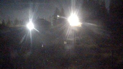 District of North Vancouver › South-east: Grizzly Bear Habitat - Grouse Mountain