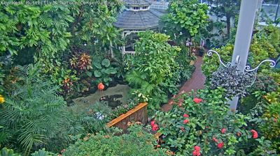 Live webcam in Tamarac, Amerikai Egyesült Államok