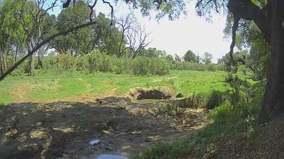 Bushbuckridge: Tintswalo Safari