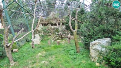 Zagreb: Gyps Webcam - Zoo Live