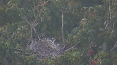 Live webcam in Vancouver, Kanada