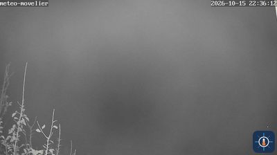 Webcam Movelier