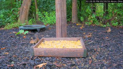 Live webcam in Cuyahoga Falls, United States