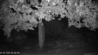 Live webcam in Montfaucon, France
