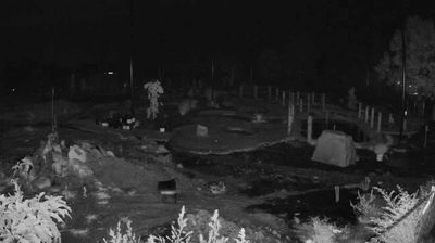 Live webcam in Walker Township, United States