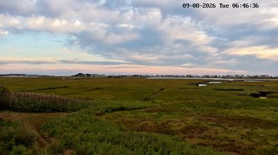 Live webcam in Marshfield, United States