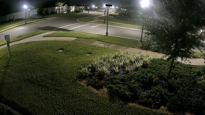 Live webcam in Wesley Chapel, United States