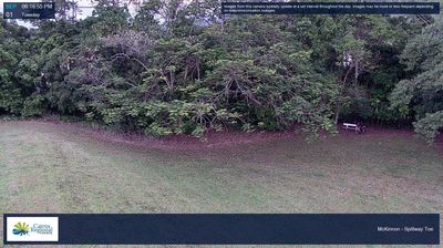 Live webcam in unknown, Australia