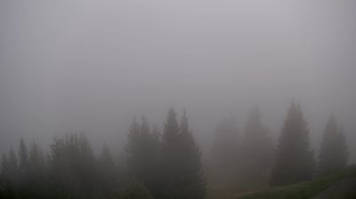 Live webcam in Thones, France
