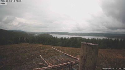 Live webcam in Mouseyhaugh, United Kingdom