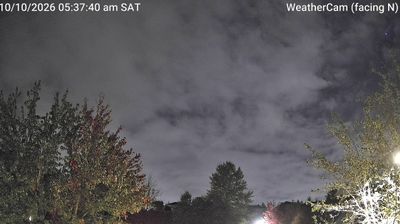 Live webcam in University Place, United States