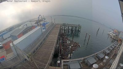 Live webcam in Newport, United States