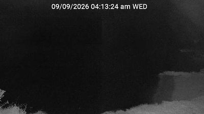 Live webcam in Buffalo City, United States