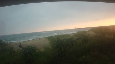 Durban › North-east: Vetchies beach