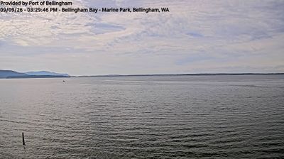 Live webcam in Bellingham, United States