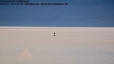Live webcam in Bellingham, United States
