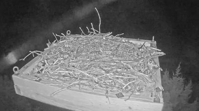 Live webcam in Highland Beach, United States